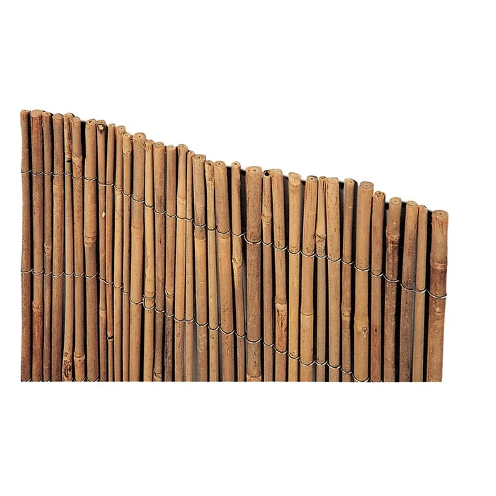 Arella Time in Bamboo
