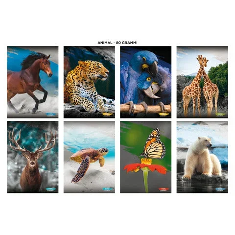 BLASETTI – Maxi quaderni animali a4 20+1 ff carta 80 g/m² – conf. 10 pezzi – rigatura 10 mm – 8949