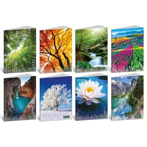 BLASETTI – Maxi quaderno quadecò formato a4 carta 80 g conf. 10 pezzi rigatura 5 mm – 4771