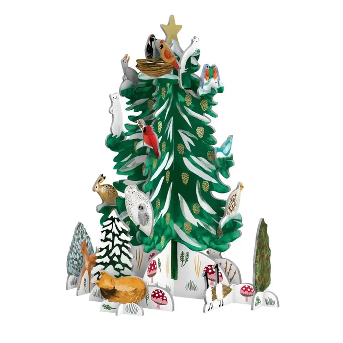 Calendario dell’avvento Christmas Conifer In cartone