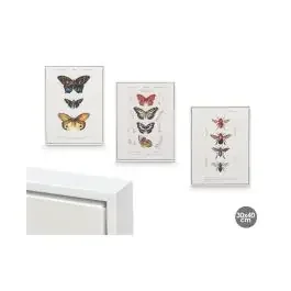 Canvas farfalla con cornice bianca