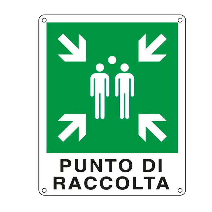 CARTELLI-SEGNALATORI – Cartello alluminio 25x31cm ‘punto di raccolta’ – E20153X – Confezione risparmio da 2 PZ