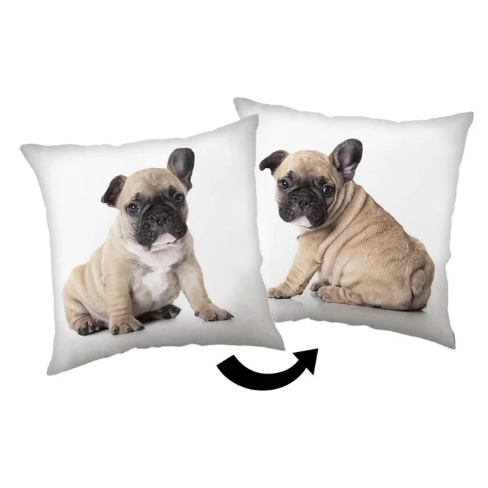 Cuscino per bambini Bulldog Bianco/beige, 40×40 cm