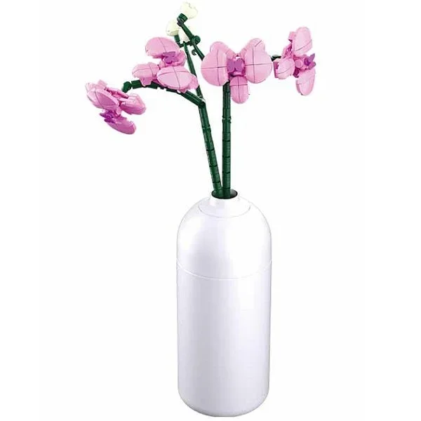 Fiore Di Orchidea Con Vaso