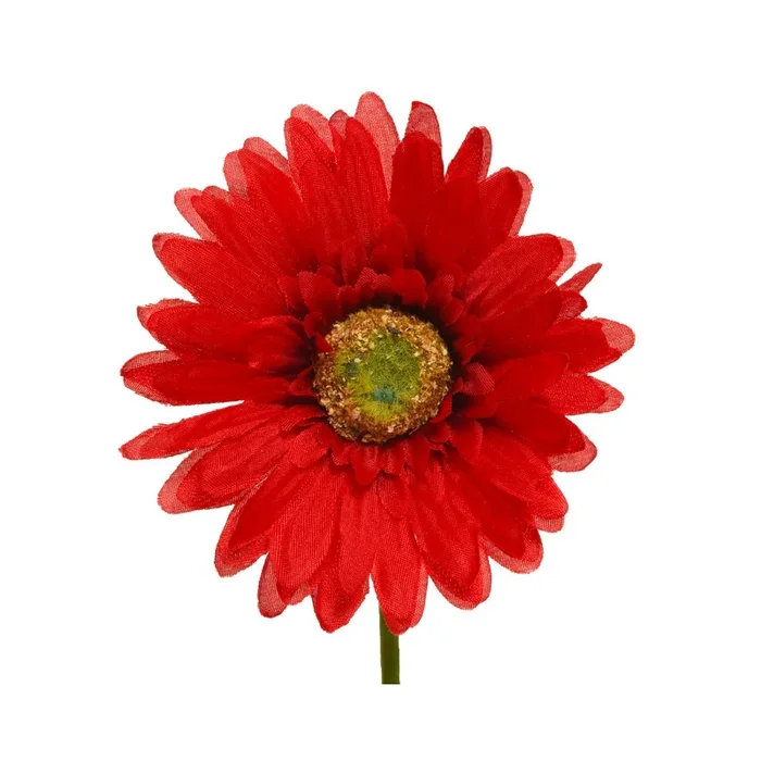 Gerbera 50 cm