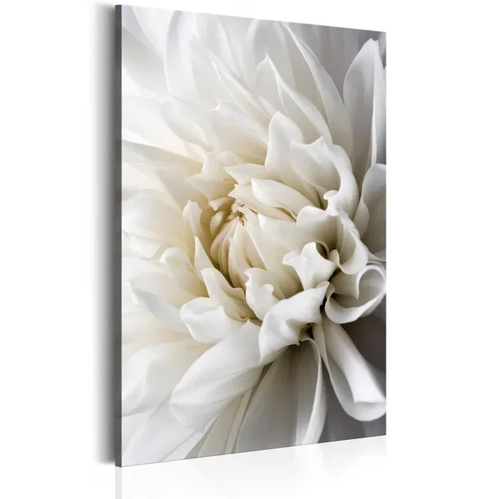 Kunstdruck auf Leinwand ‘White Dahlia’