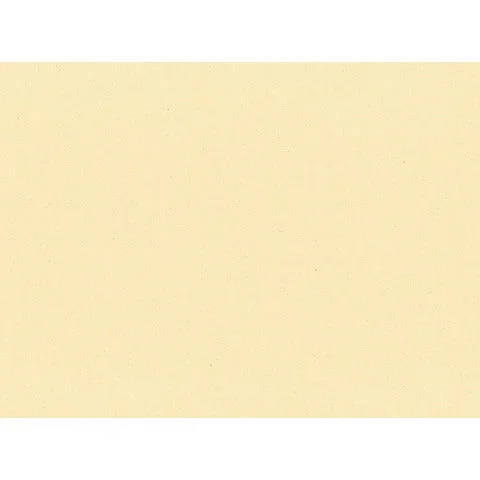LE-NAPPAGE – Tovagliette monouso le nappage in carta paglia 30×40 cm crema – conf. 500 pz – EYTVT1130
