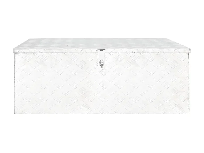 Maison Exclusive Contenitore Portaoggetti Argento 100x55x37 cm in Alluminio