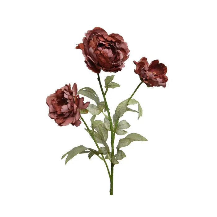 Peonia sintetica