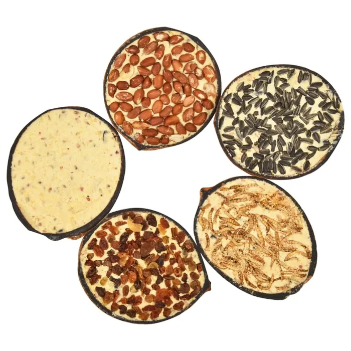Set 10 Noci di Cocco Ripiene di Cibo Mangime per Uccelli 290g