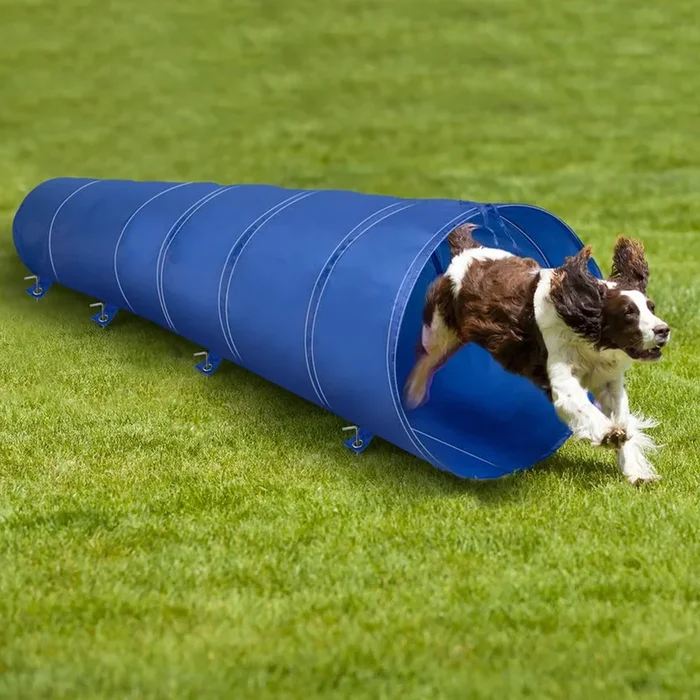Tunnel Gioco Addestramento Cani Gatti Animali Cinofilo 3 Metri Giochi di Agilità